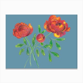 Peonies 1 Canvas Print