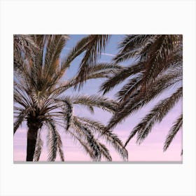 Palm Trees Sunset Travel Poster_2262139 Canvas Print