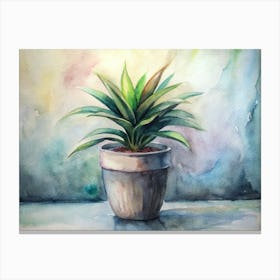 Potted Plant 7 Canvas Print