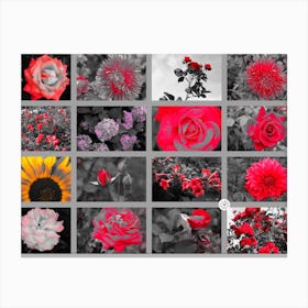 Botanical Garden Digital Art collage red yellow floral flower gray many nature bedroom living room Canvas Print
