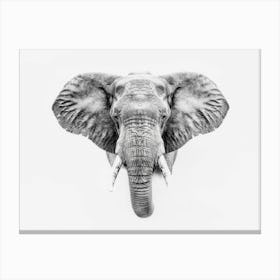 Elephant Head Canvas Print