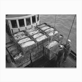 Untitled Photo, Possibly Related To Unloading Boxes Of Salmon From Fishing Boat At Docks Of Columbia River Canvas Print