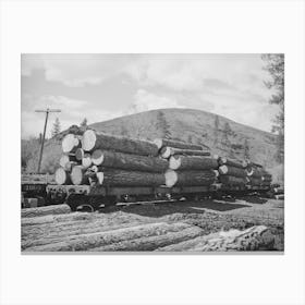 Logs On Railroad Cars Canvas Print