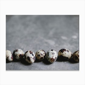 Quail Eggs 25 Canvas Print