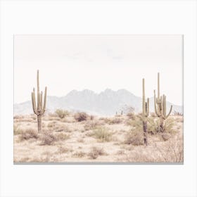 Four Peaks Cactus Canvas Print