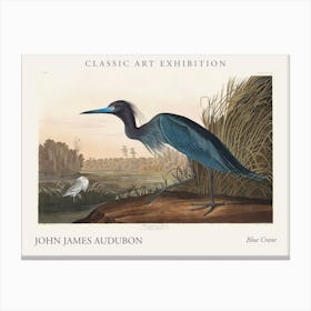 Blue Crane Poster Canvas Print