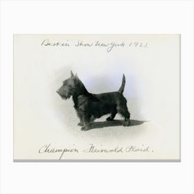 Scottish Terrier Canvas Print