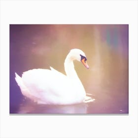 Swan In Water Canvas Print