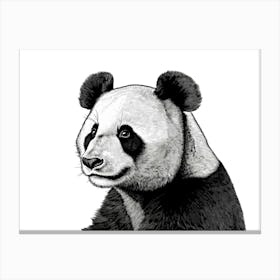 Black & White Panda Portrait Canvas Print