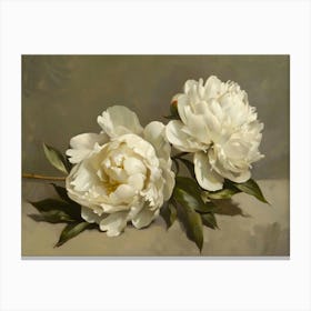 White Peonies Canvas Print