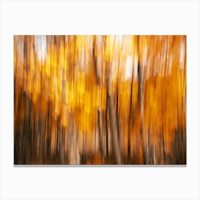 Autumn Trees - Aspen Leaves Rocky Mountains Abstract Canvas Print