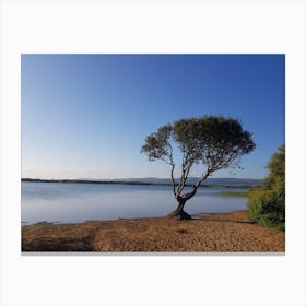 Lone Tree By The Lake Canvas Print