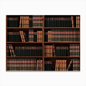 Books Bookshelf Bookcase Library Retro Canvas Print