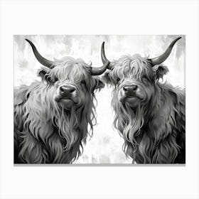 Highland Cows Canvas Print