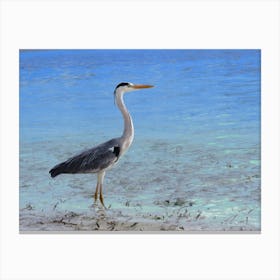 Heron On The Beach Bright Blue Ocean Sea Canvas Print