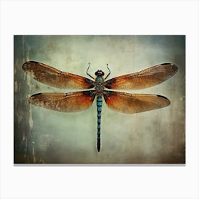 Dragonfly 14 Canvas Print
