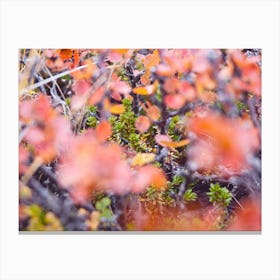 Colorful Twigs Canvas Print