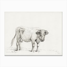Standing Cow (1816), Jean Bernard Canvas Print