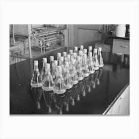 Erlenmeyer Flasks Full Of Liquid And Wood Samples, Forest Products Laboratory, Madison, Wisconsin By Russell Lee Canvas Print