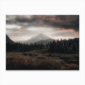 Dark Moody Forest Canvas Print