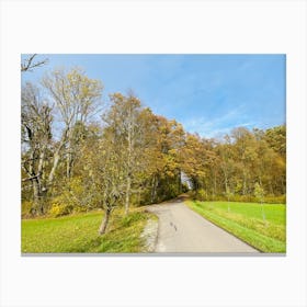 Country Road 37 Canvas Print