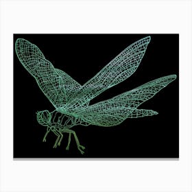 Dragonfly Canvas Print