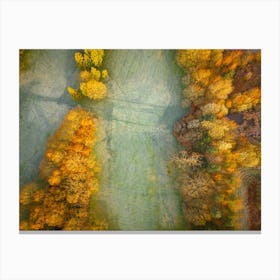 Autumn In Poland Canvas Print