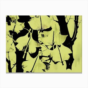 Ginkgo Leaves 44 Canvas Print