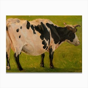 Vintage Cow In Grass Canvas Print