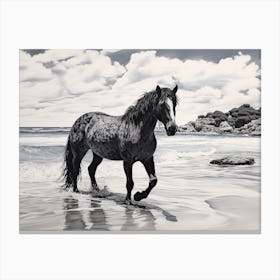 A Horse Oil Painting In Tulum Beach, Mexico, Landscape 2 Canvas Print