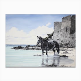 A Horse Oil Painting In Horseshoe Bay Beach, Bermuda, Landscape 4 Canvas Print
