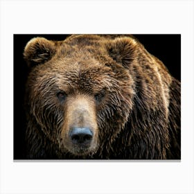 Grizzly Bear Canvas Print