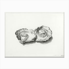 Two Opened Oysters, Jean Bernard Canvas Print