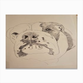 Clyde the Bulldog Canvas Print