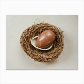 Egg In A Nest 1 Canvas Print