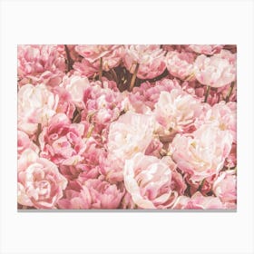 Pink Flower Bush Canvas Print