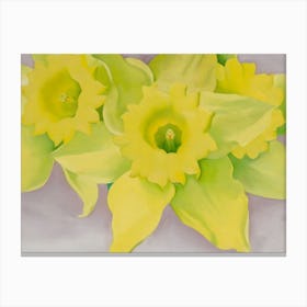 Georgia O'Keeffe - Jonquils I, 1936 Canvas Print