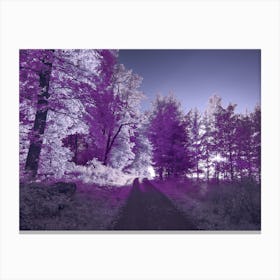 Purple Forest Canvas Print