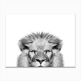 Peeking Lion Canvas Print