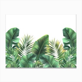 Tropical Seamless Border With Beautiful Palm, Banana Leaves 2 Canvas Print