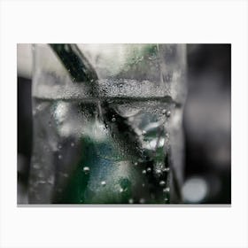 Close Up Of Glass With Sparkling Water In It Canvas Print