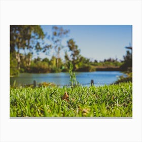 Closeup Of Green Grass In Park With Blurry Background Of A Pond And Trees 1 Canvas Print