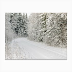 Coniferous Tree Winter Road Canvas Print