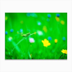 A Lush Grasshopper Leaps Across A Vibrant Oversaturated Meadow The Intense Green Hues Softened By (2) Canvas Print