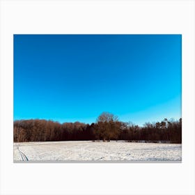 Snowy Field With Blue Sky 4 Canvas Print