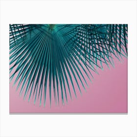 Palm leaves in front of a pink sky Canvas Print