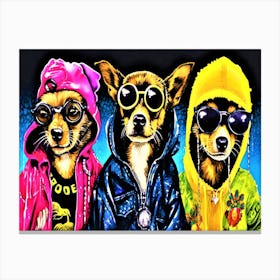 Gansta Chihuahua Trio - 3 Chihuahua Dogs Canvas Print