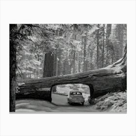 Car Driving Through Tunnel Log Canvas Print