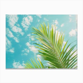 Palm Tree Against Blue Sky 4 Canvas Print