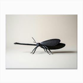 Black Bug Canvas Print